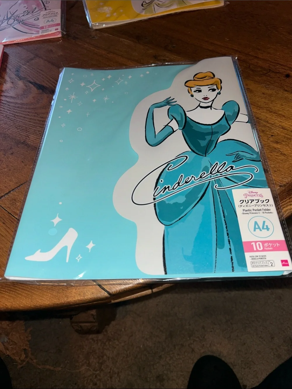 Disney Minnie Mouse & Princesses file folders